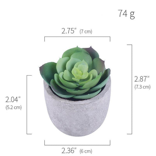 Artificial Potted Plants | Succulent Potted Plants | Homeful Harmony